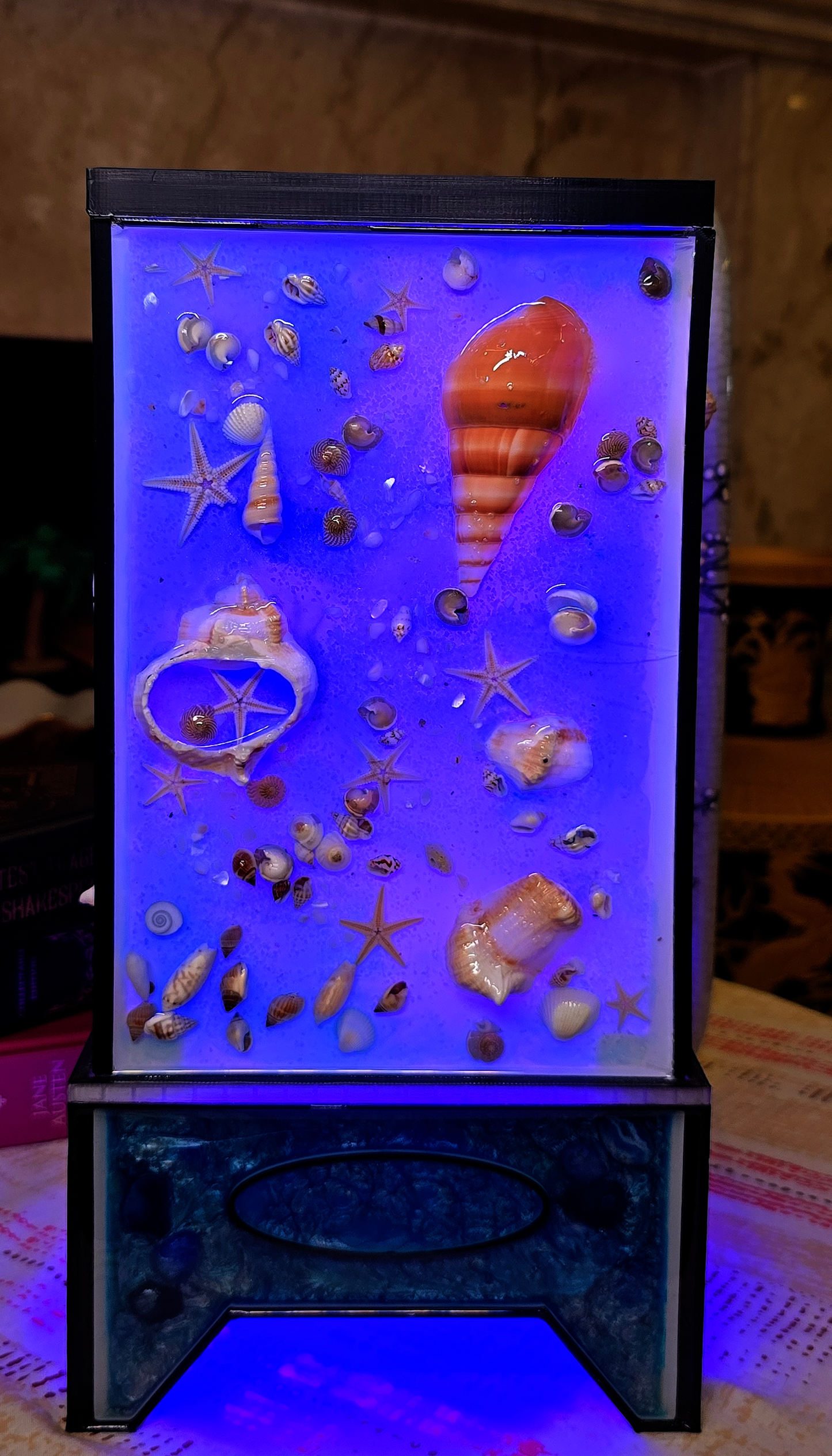 Sea-Shell Lamp