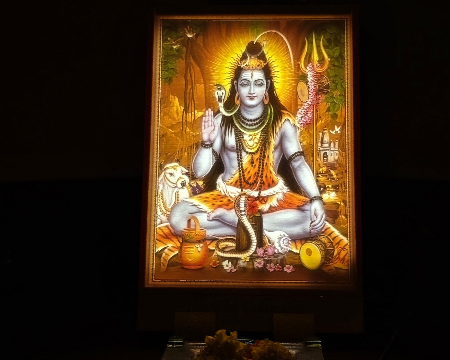 Lord Shiva 1