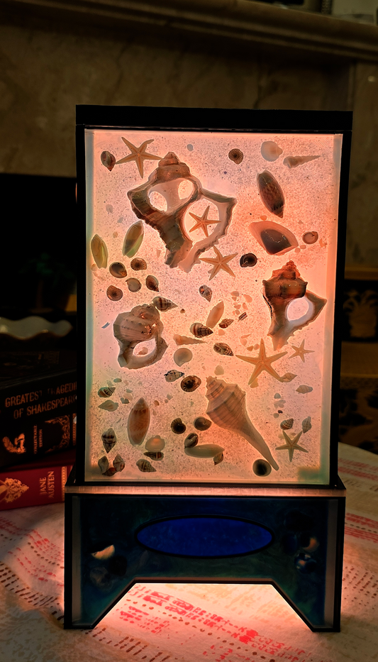 Sea-Shell Lamp